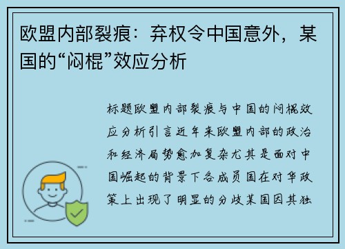 欧盟内部裂痕：弃权令中国意外，某国的“闷棍”效应分析