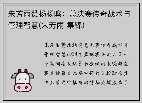 朱芳雨赞扬杨鸣：总决赛传奇战术与管理智慧(朱芳雨 集锦)