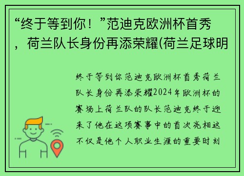 “终于等到你！”范迪克欧洲杯首秀，荷兰队长身份再添荣耀(荷兰足球明星范迪克)