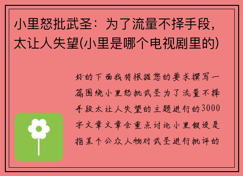 小里怒批武圣：为了流量不择手段，太让人失望(小里是哪个电视剧里的)