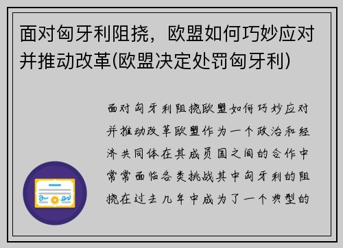 面对匈牙利阻挠，欧盟如何巧妙应对并推动改革(欧盟决定处罚匈牙利)