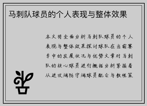 马刺队球员的个人表现与整体效果