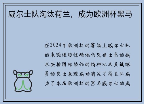 威尔士队淘汰荷兰，成为欧洲杯黑马