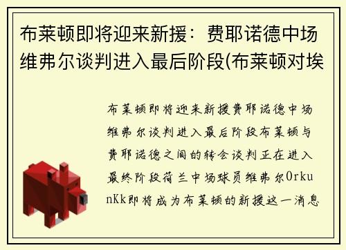 布莱顿即将迎来新援：费耶诺德中场维弗尔谈判进入最后阶段(布莱顿对埃弗顿历史比分)