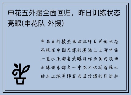 申花五外援全面回归，昨日训练状态亮眼(申花队 外援)