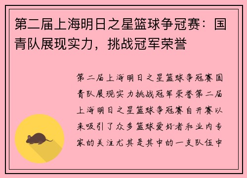 第二届上海明日之星篮球争冠赛：国青队展现实力，挑战冠军荣誉